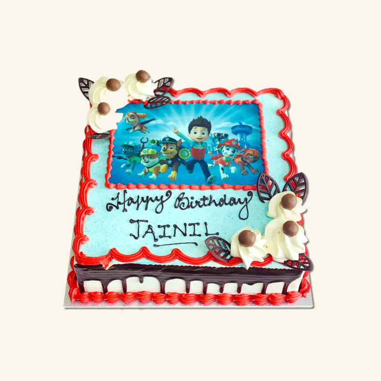 Paw Patrol Photo